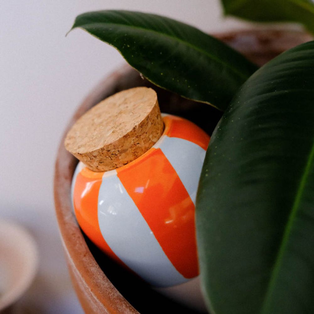 Olla - Rayé bleu et orange