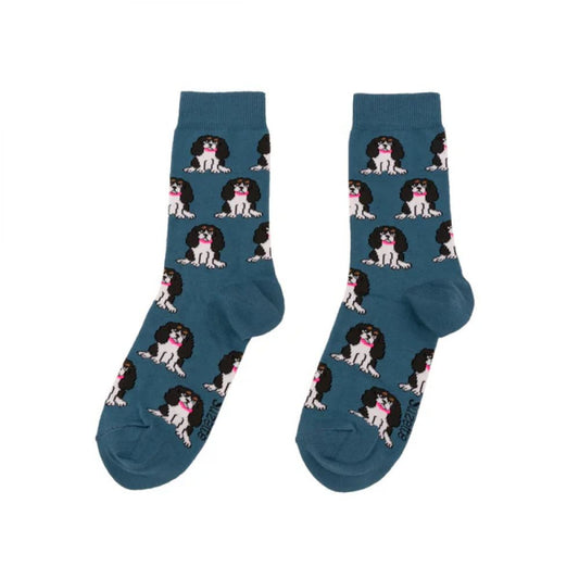 Chaussettes 35/44 - Cavalier King Charles bleues