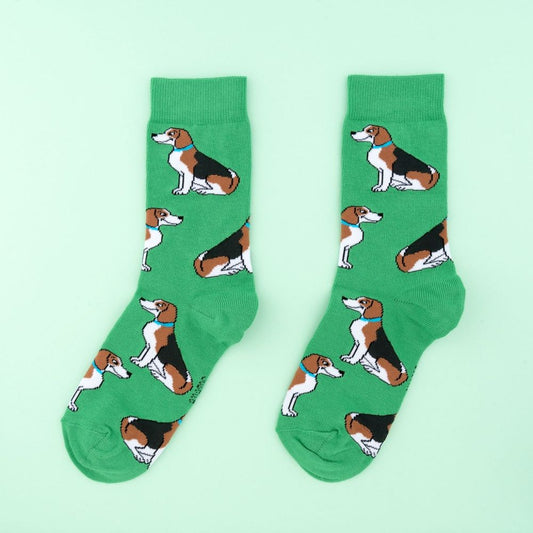 Chaussettes 35/44 - Beagle vertes