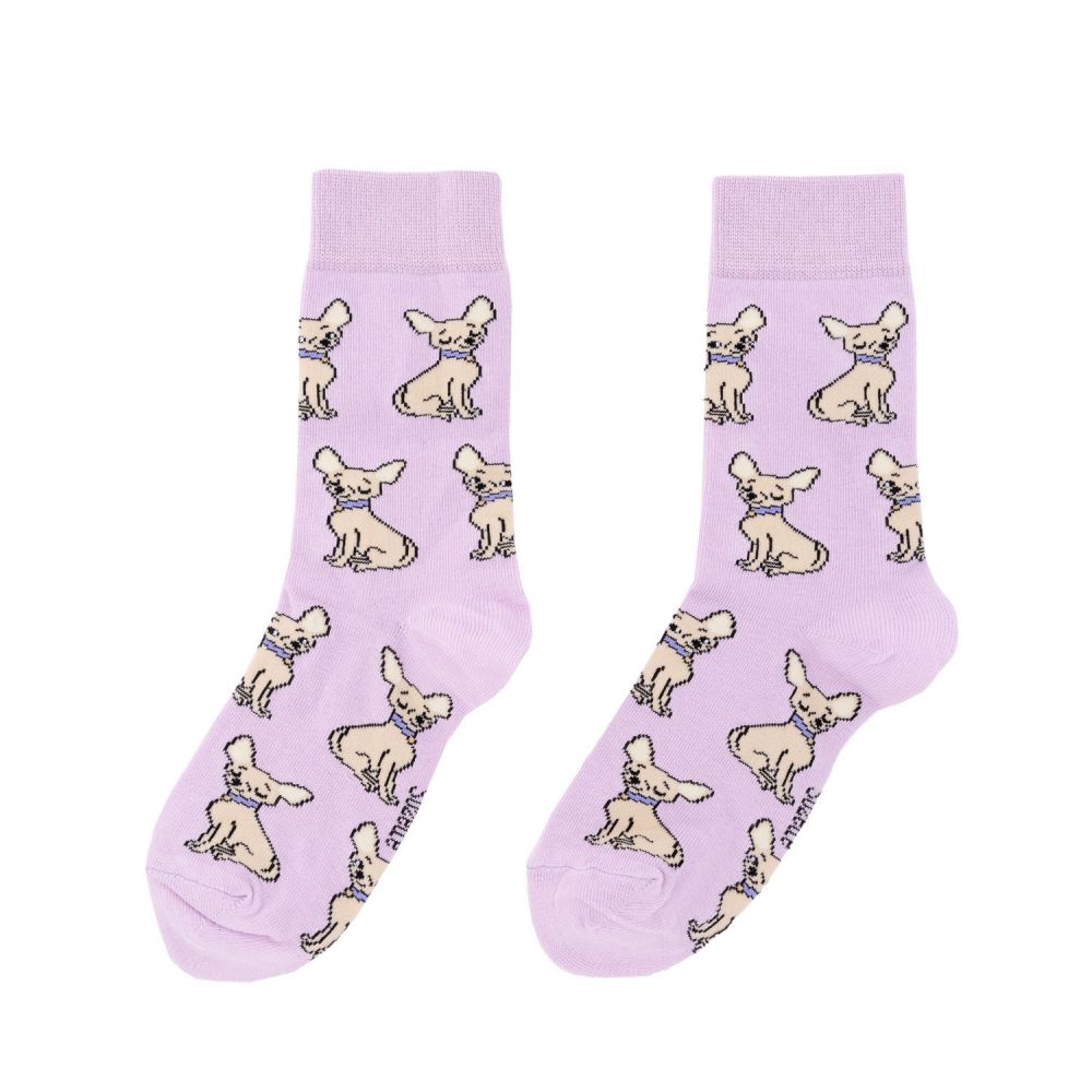 Chaussettes 35/44 - Chihuahua lilas